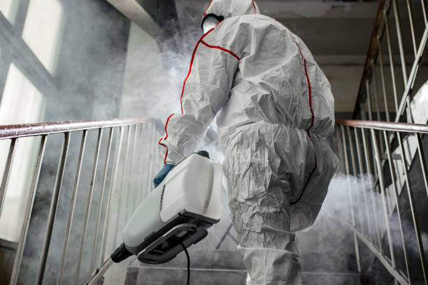 Best Forensic Mold Investigation  in Hunter, TN